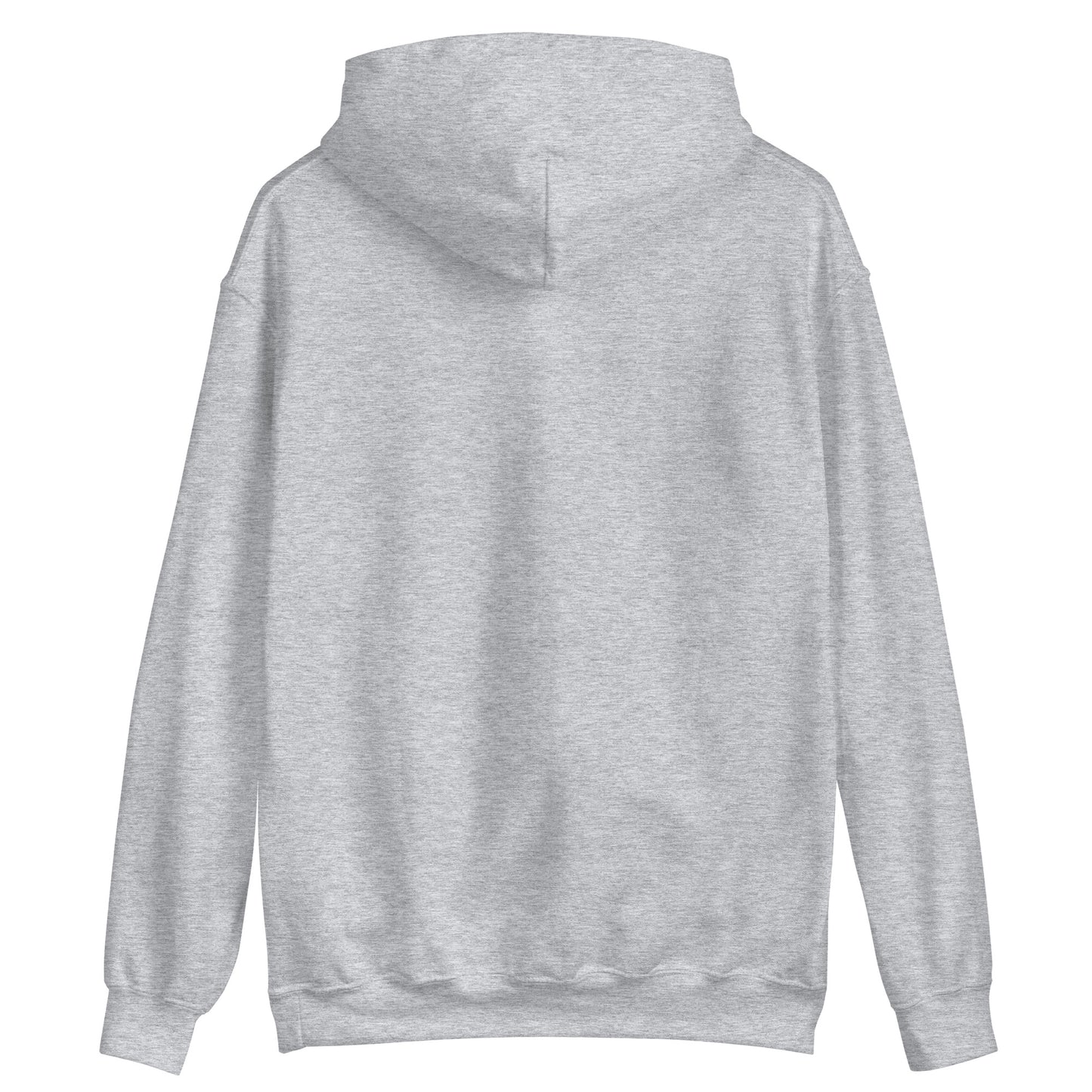 Grey Paris Hoodie